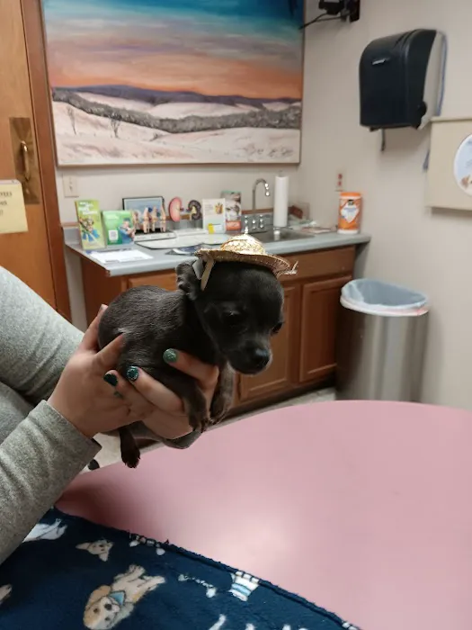 Wellsboro Veterinary Hospital & Reptile & Bird Clinic 3