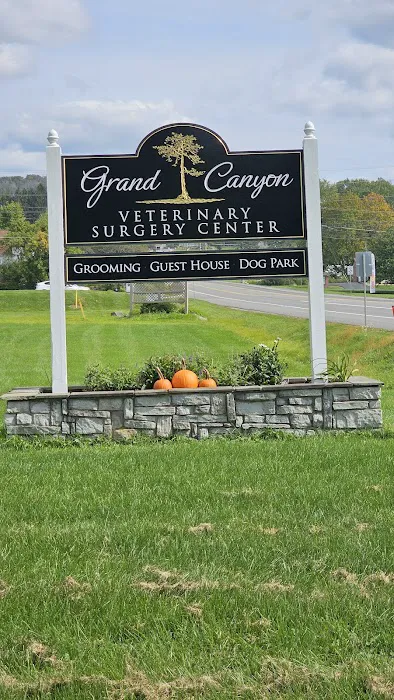 Grand Canyon Veterinary Surgery Center 1