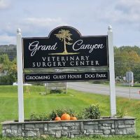 Grand Canyon Veterinary Surgery Center ico