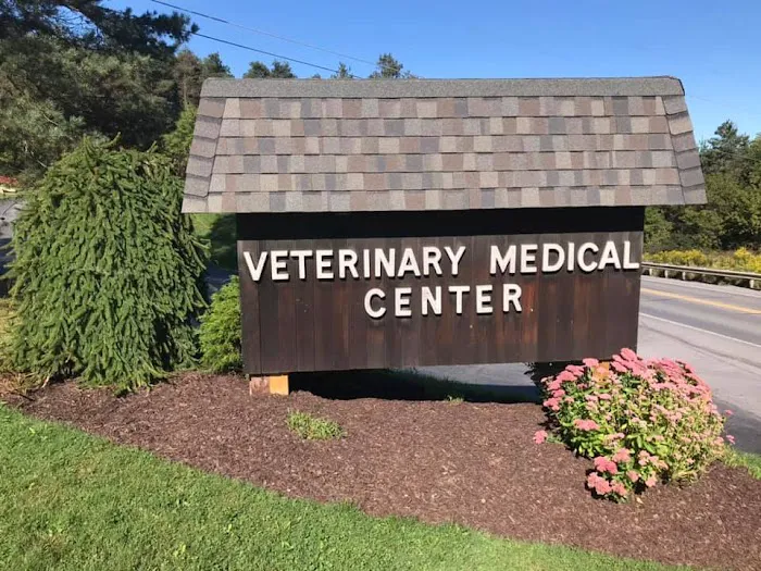 Veterinary Medical Center 2
