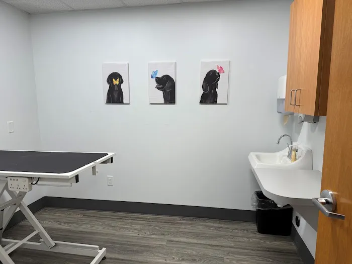 EVS Pet Urgent Care of Niagara 5