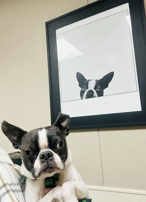 Wheatfield Animal Hospital 5