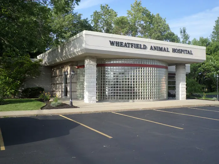 Wheatfield Animal Hospital 1