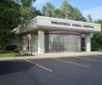Wheatfield Animal Hospital