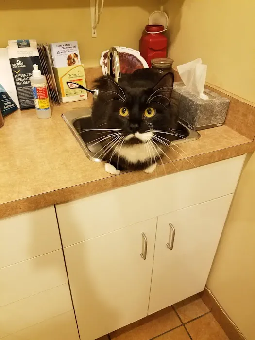 Companion Care Animal Hospital 6