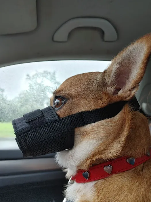 Companion Care Animal Hospital 9