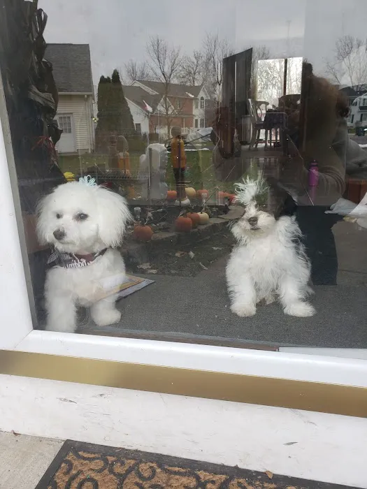 Companion Care Animal Hospital 7