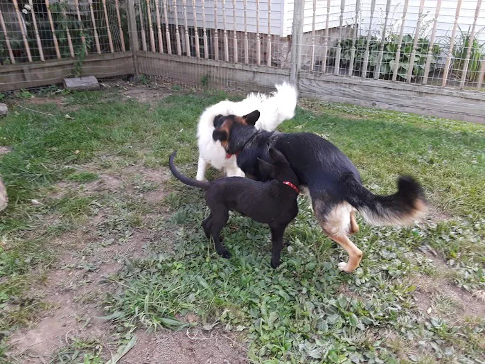 Countryside Veterinary Clinic 5