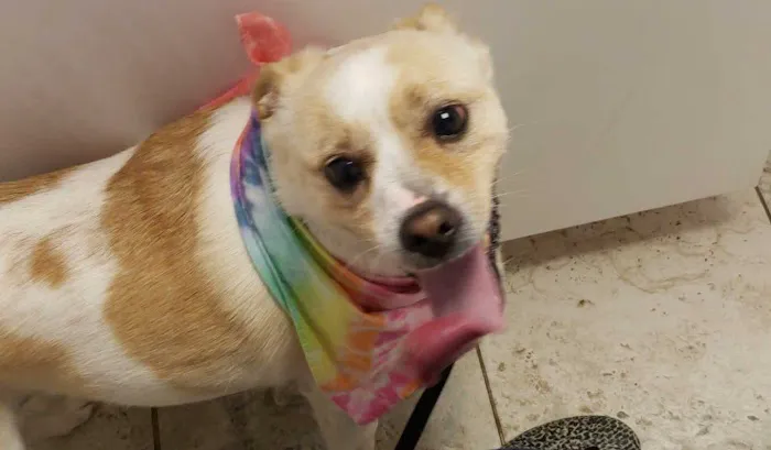 Donner Creek Veterinary Clinic 3