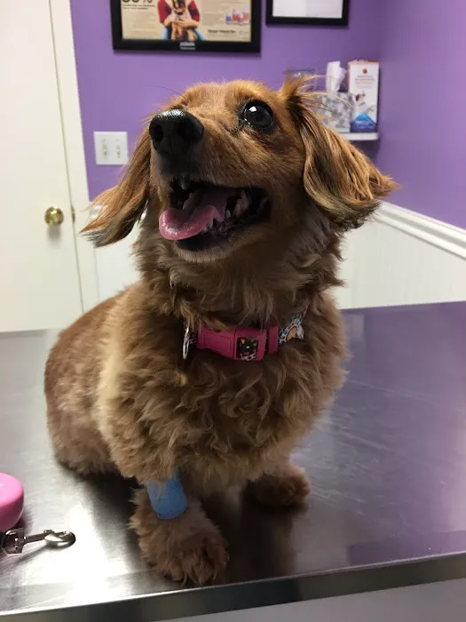 Donner Creek Veterinary Clinic 7
