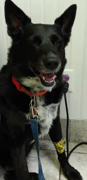 Donner Creek Veterinary Clinic 10