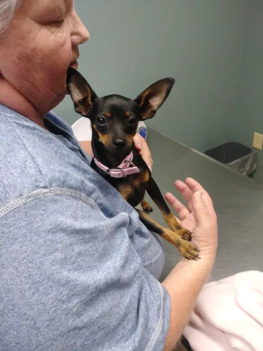 Hubbs Animal Clinic 8