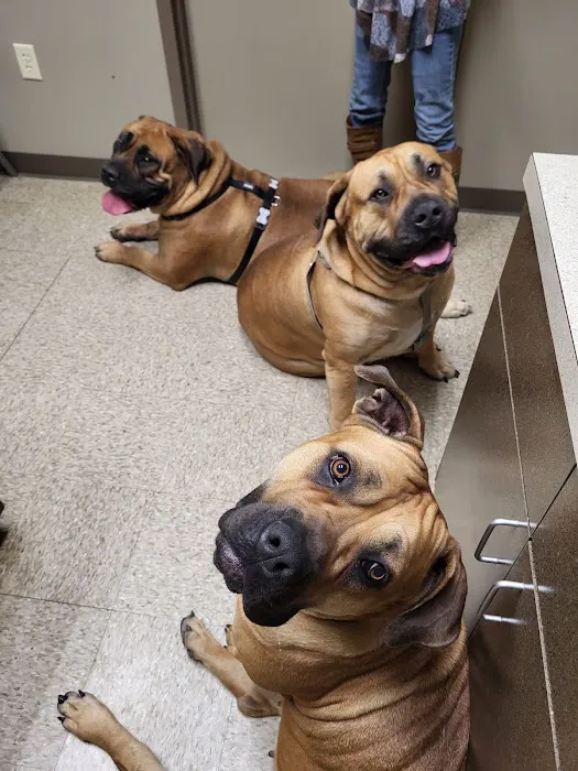 Hubbs Animal Clinic 6