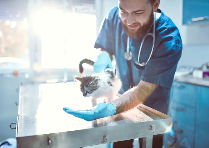 All Animal Health Center 10