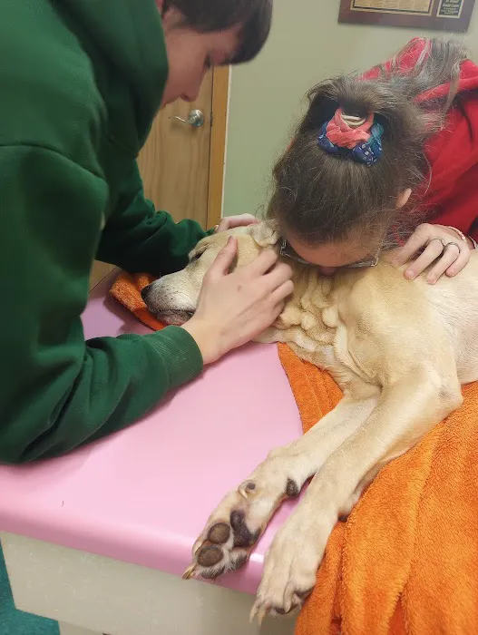 All Animal Health Center 5