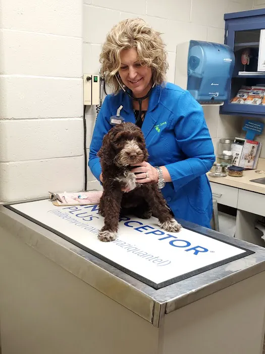 Eastside Animal Health Center 7
