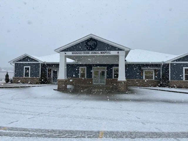 Massard Creek Animal Hospital 7