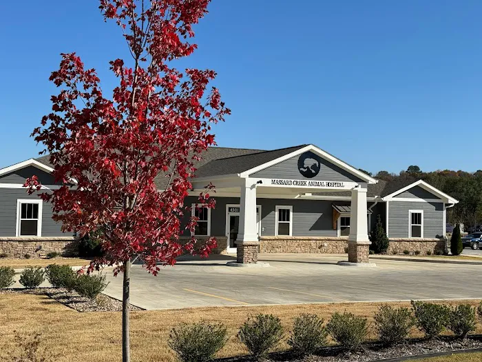 Massard Creek Animal Hospital 10