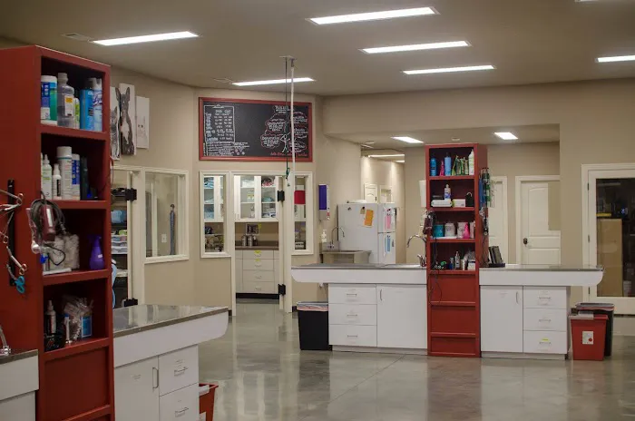 River Valley Animal Hospital 1