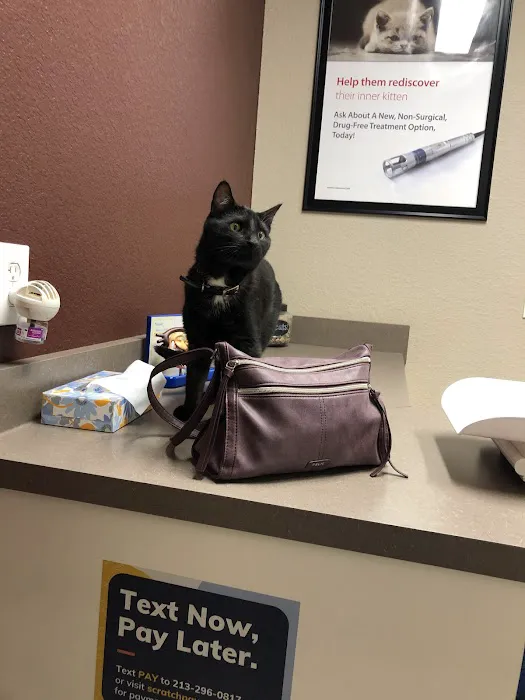 River Valley Animal Hospital 8