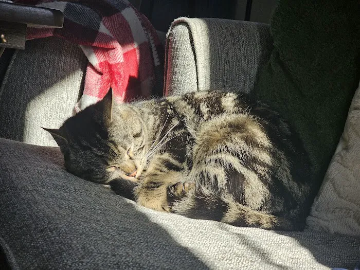 Maine Animal Health Alliance 4