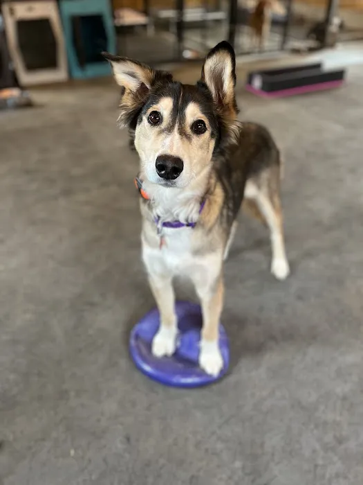 Maine Animal Health Alliance 6