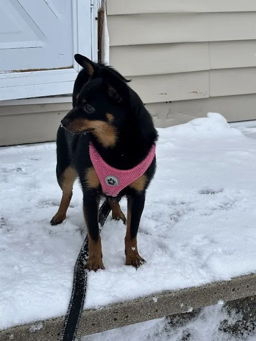 Maine Animal Health Alliance 5