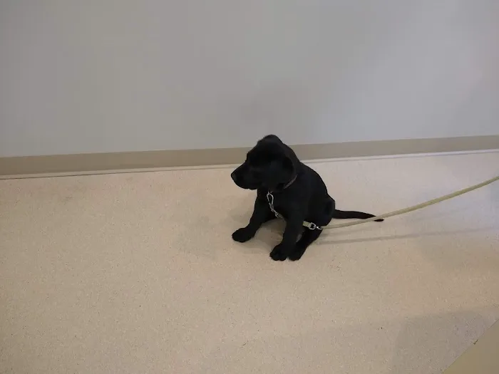 Woodbrook Animal Clinic 2