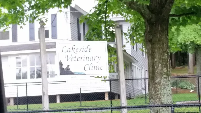 Lakeside Veterinary Clinic 5