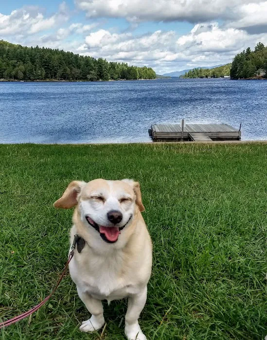 Lakeside Veterinary Clinic 9
