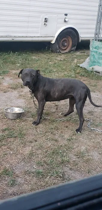 Georgetown Animal Clinic 8