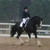 Maplewood Veterinary Associates ico
