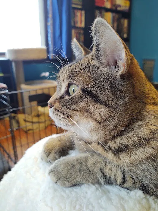 Flint Veterinary Care Center 4