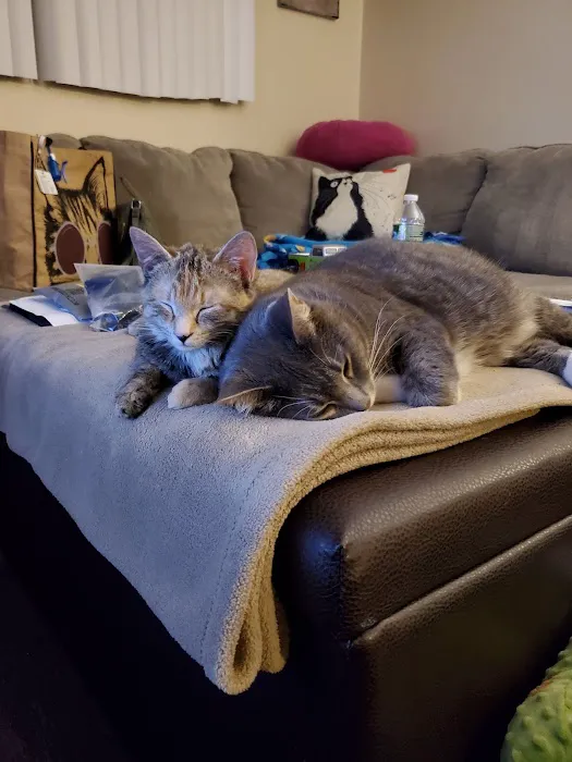 Flint Veterinary Care Center 3