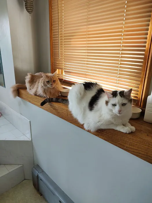 Flint Veterinary Care Center 6
