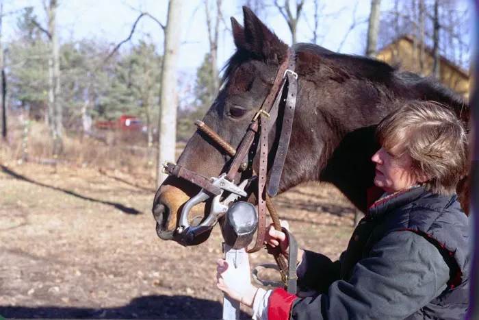 Royalton Equine Veterinary Services, PC 3
