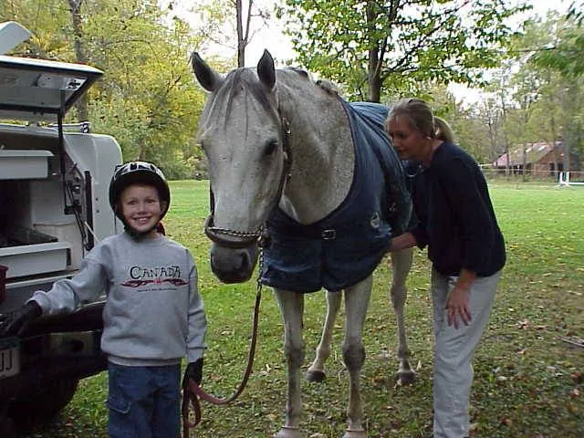 Royalton Equine Veterinary Services, PC 2