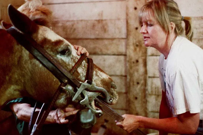 Royalton Equine Veterinary Services, PC 5