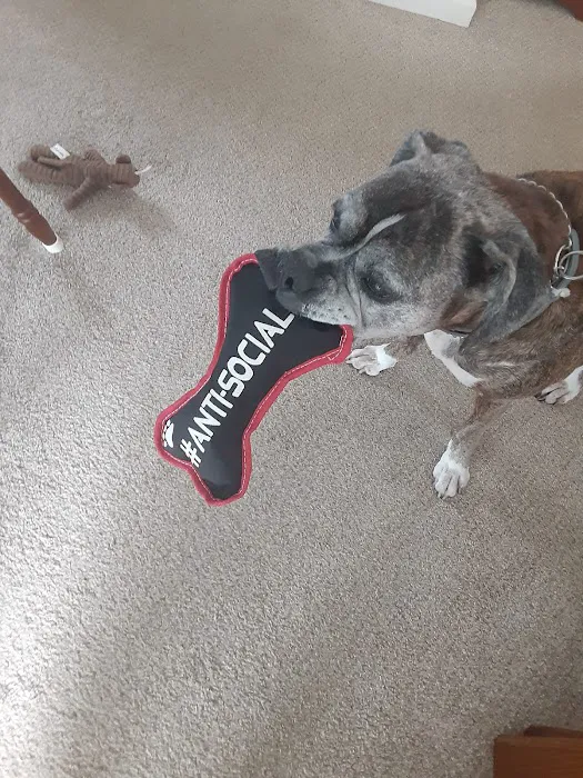 Randleigh Animal Hospital 10