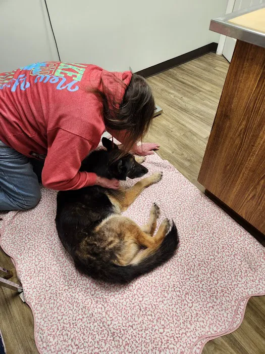 Lake Ave Veterinary Clinic 13