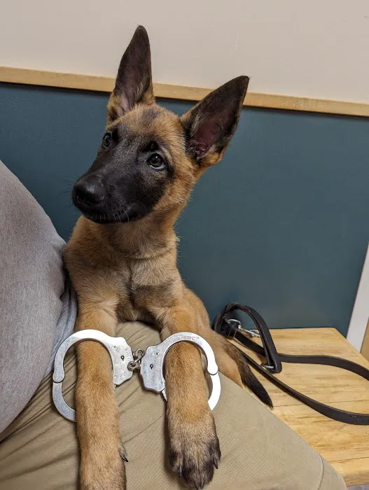 Cornerstone Veterinary Clinic 1