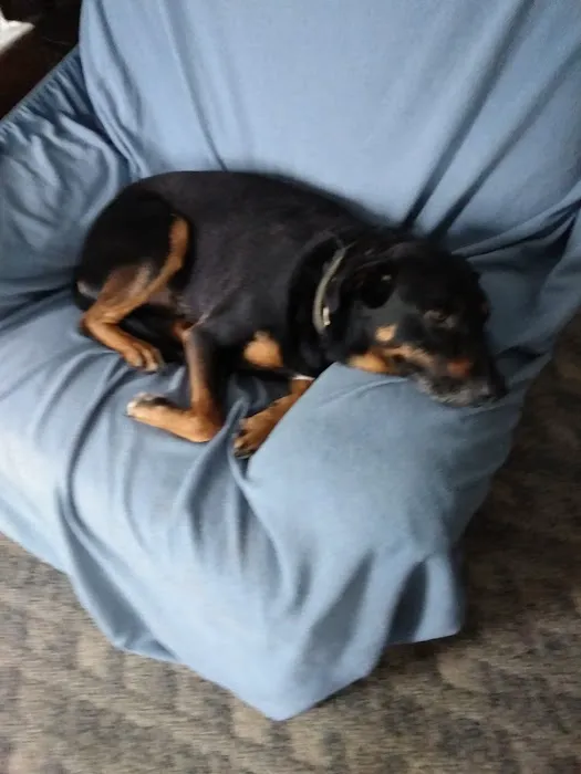 Spencer Animal Hospital 6
