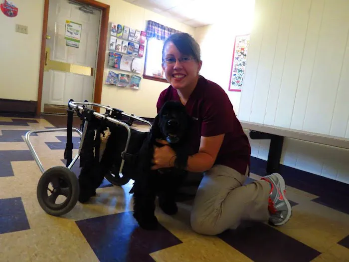 Troy Veterinary Clinic 5