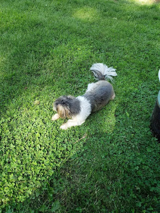 Troy Veterinary Clinic 3