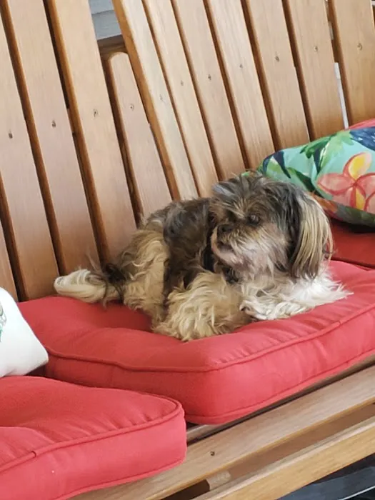 Troy Veterinary Clinic 2