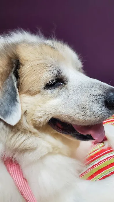 Gerber Small Animal Hospital 9