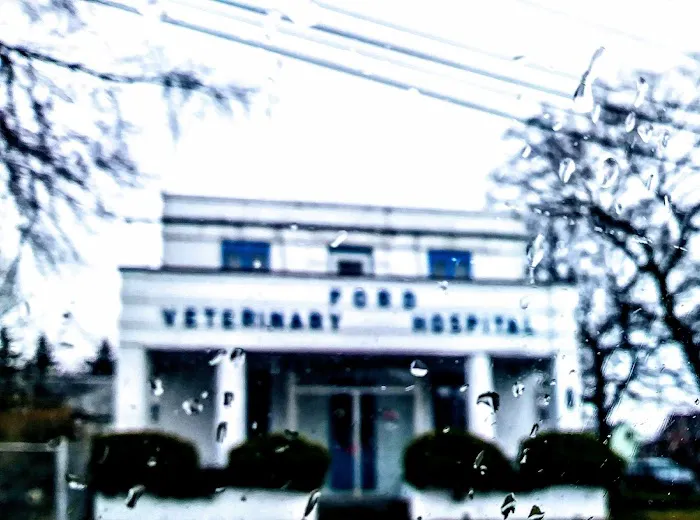 Ford Veterinary Associates PC 4