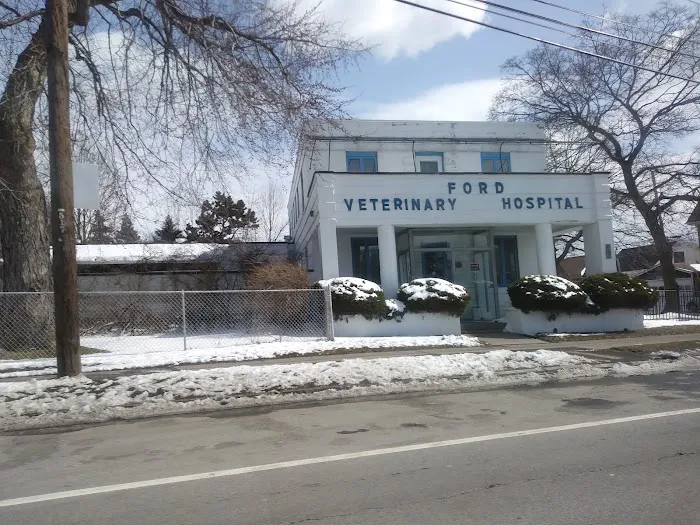 Ford Veterinary Associates PC 5