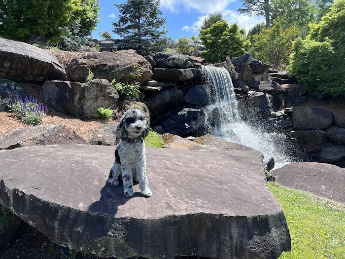 Grand Island Animal Hospital 5