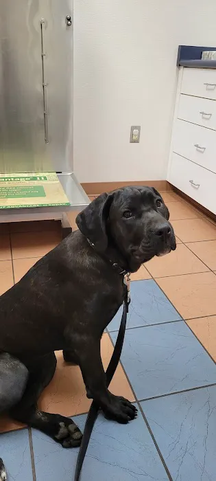 Grand Island Animal Hospital 6